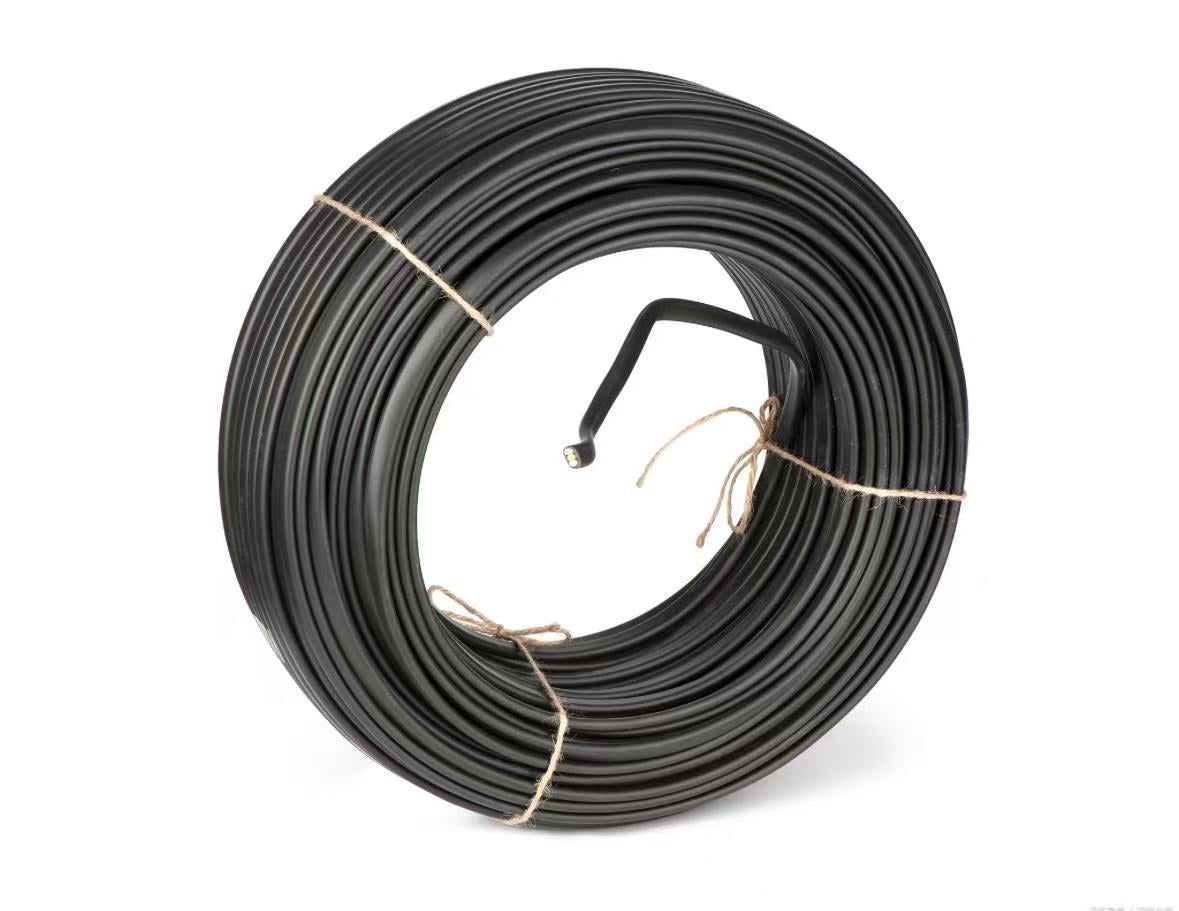 Electric wire